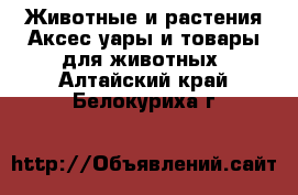 Животные и растения Аксесcуары и товары для животных. Алтайский край,Белокуриха г.